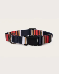 ACADIA NATIONAL PARK ADVENTURE COLLAR