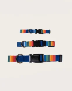 CRATER LAKE NATIONAL PARK ADVENTURE COLLAR