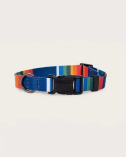 CRATER LAKE NATIONAL PARK ADVENTURE COLLAR