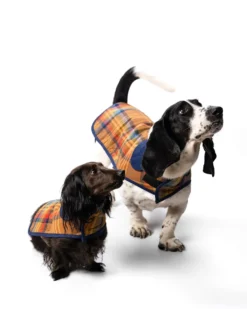 DESERT PLAID PET COAT