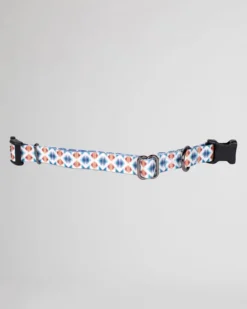 FALCON COVE ADVENTURE COLLAR