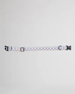 FALCON COVE ADVENTURE COLLAR