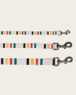 GLACIER NATIONAL PARK ADVENTURE LEASH