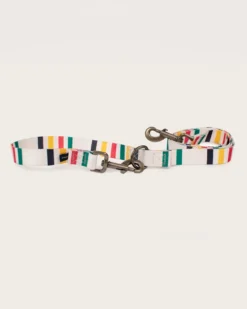 GLACIER NATIONAL PARK ADVENTURE LEASH
