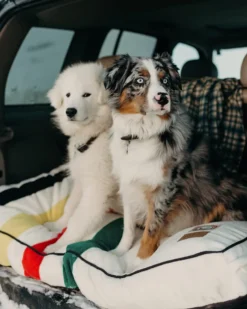 GLACIER NATIONAL PARK PET BED - NAPPER
