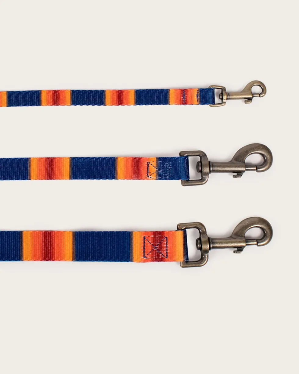 GRAND CANYON NATIONAL PARK ADVENTURE LEASH
