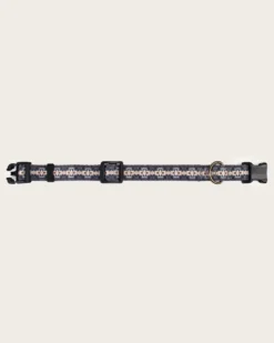 HARDING ADVENTURE COLLAR