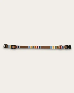 JOSHUA TREE NATIONAL PARK ADVENTURE COLLAR