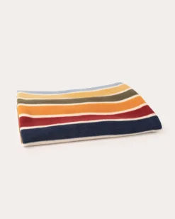 JOSHUA TREE NATIONAL PARK PET CRATE BLANKET