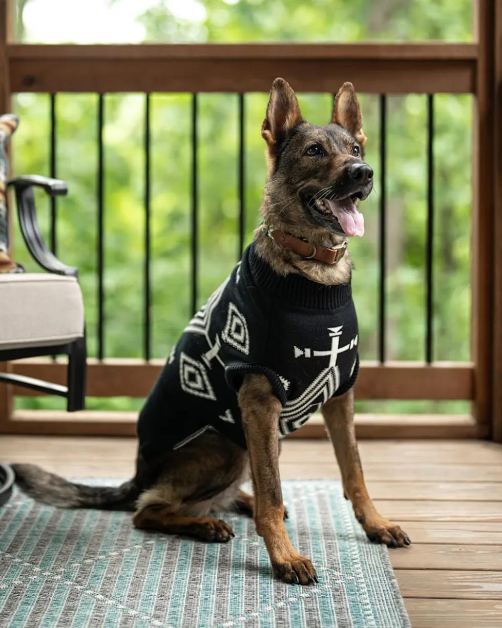 LOS OJOS PET SWEATER