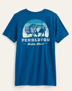 MEN'S SHORT-SLEEVE BISON SUNSET GRAPHIC TEE