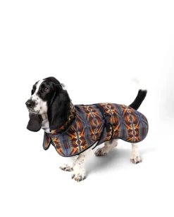 MYSTIC LAKE PET ADVENTURE RAIN COAT