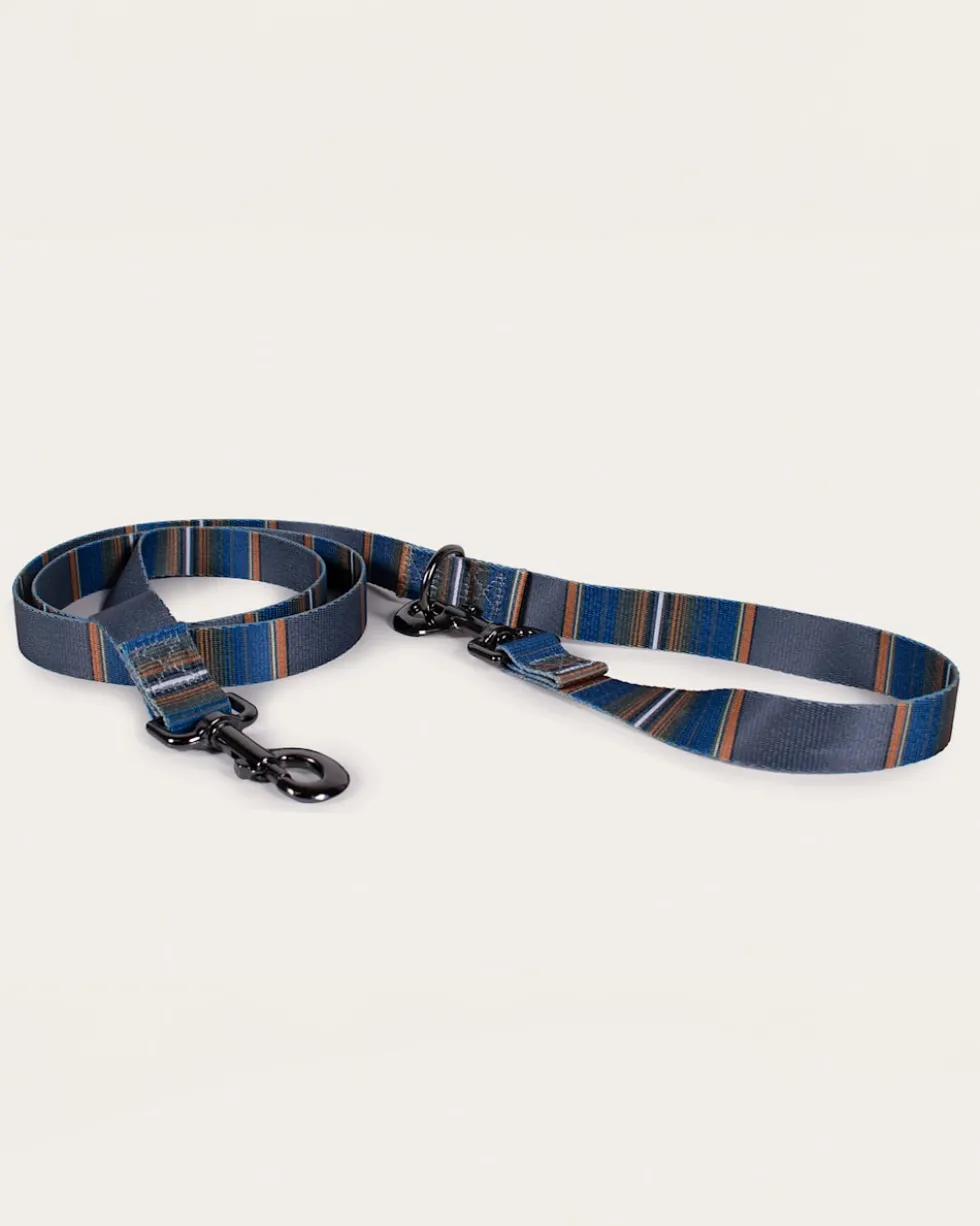 OLYMPIC NATIONAL PARK ADVENTURE LEASH