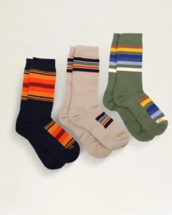 3-PACK NATIONAL PARK SOCKS GIFT BOX