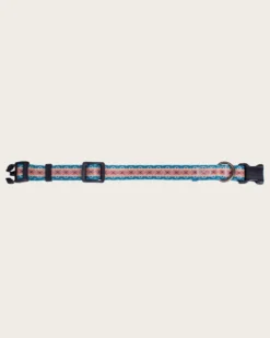 PAGOSA SPRINGS ADVENTURE COLLAR
