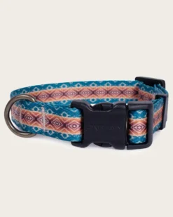 PAGOSA SPRINGS ADVENTURE COLLAR