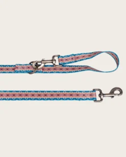 PAGOSA SPRINGS ADVENTURE LEASH