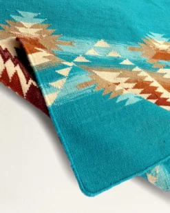 PAGOSA SPRINGS STRIPE RUG