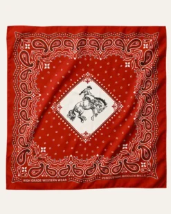 RODEO SPIRIT SILK SCARF