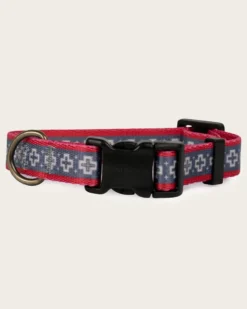 SAN MIGUEL ADVENTURE COLLAR