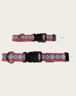 SAN MIGUEL ADVENTURE COLLAR