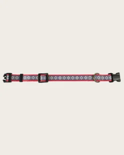 SAN MIGUEL ADVENTURE COLLAR