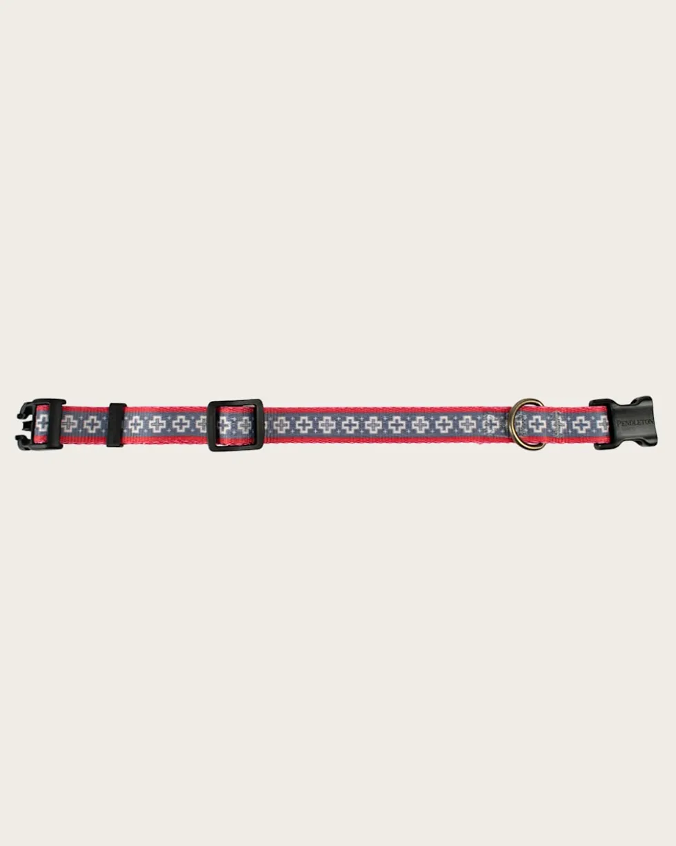 SAN MIGUEL ADVENTURE COLLAR