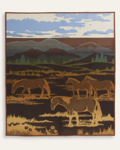 SHADOW MOUNTAIN BLANKET
