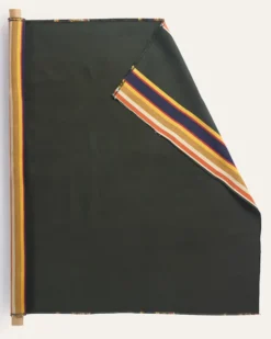 SUNBRELLA X PENDLETON BADLANDS STRIPE FABRIC