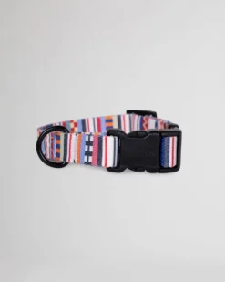 TAMIAMI ADVENTURE COLLAR