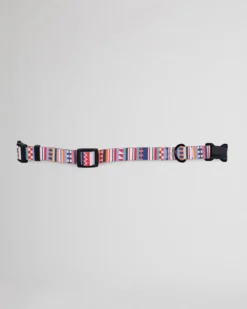 TAMIAMI ADVENTURE COLLAR