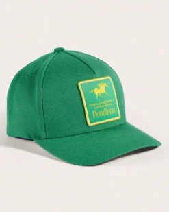 VINTAGE LOGO GRAPHIC HAT