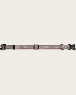 WESTERLEY ADVENTURE COLLAR