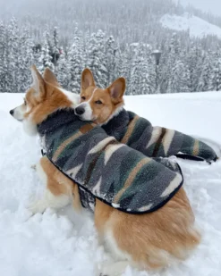 WYETH TRAIL PET COAT