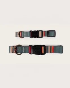 YAKIMA CAMP ADVENTURE COLLAR