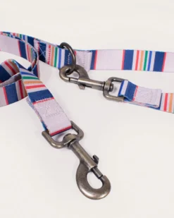 YELLOWSTONE NATIONAL PARK ADVENTURE LEASH