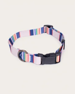 YELLOWSTONE NATIONAL PARK ADVENTURE COLLAR
