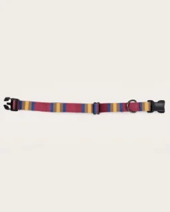 ZION NATIONAL PARK ADVENTURE COLLAR