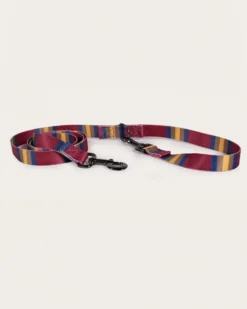 ZION NATIONAL PARK ADVENTURE LEASH