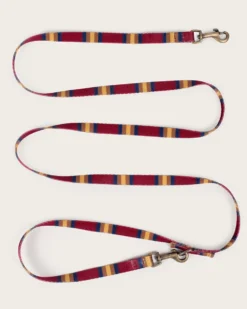 ZION NATIONAL PARK ADVENTURE LEASH